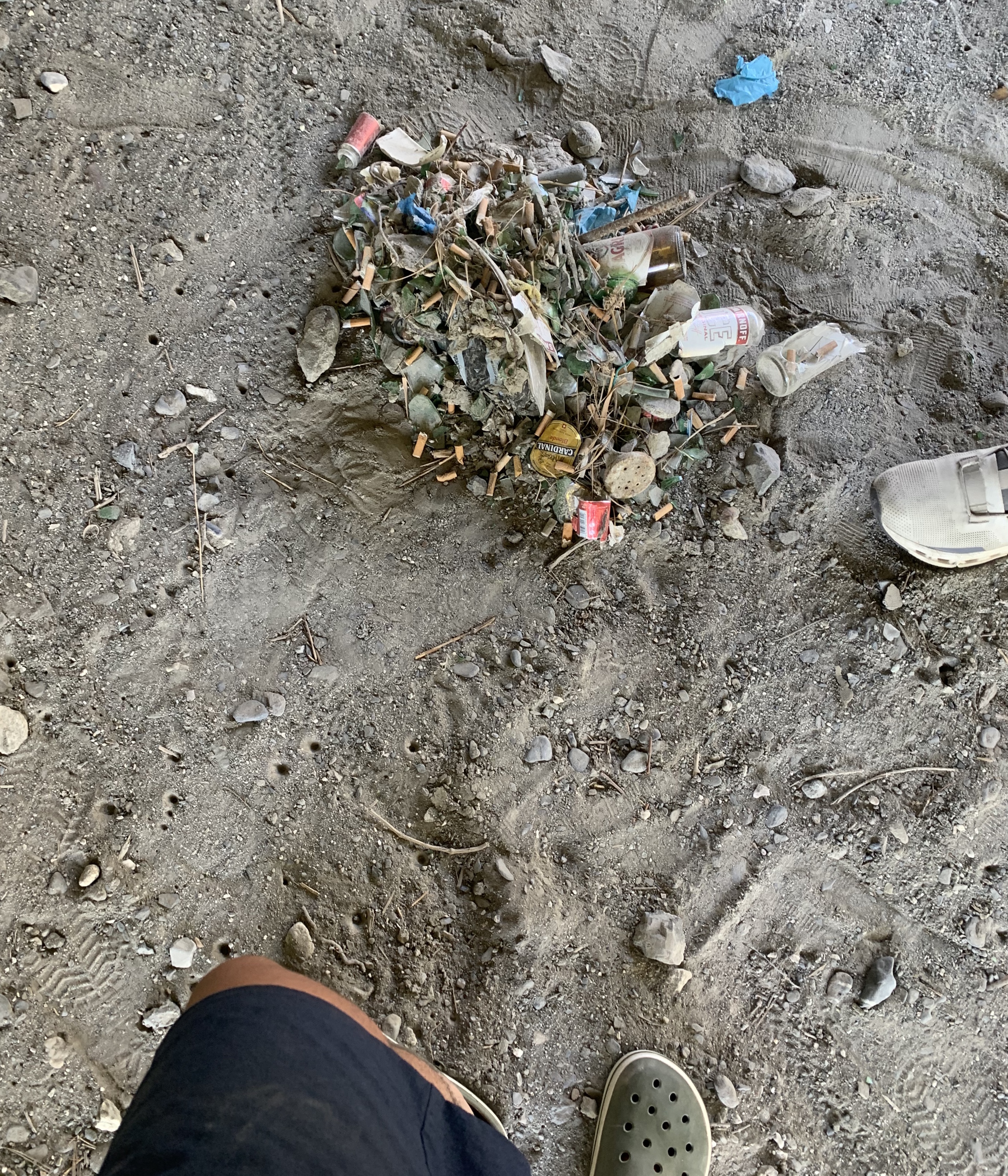 Rhone cleanup